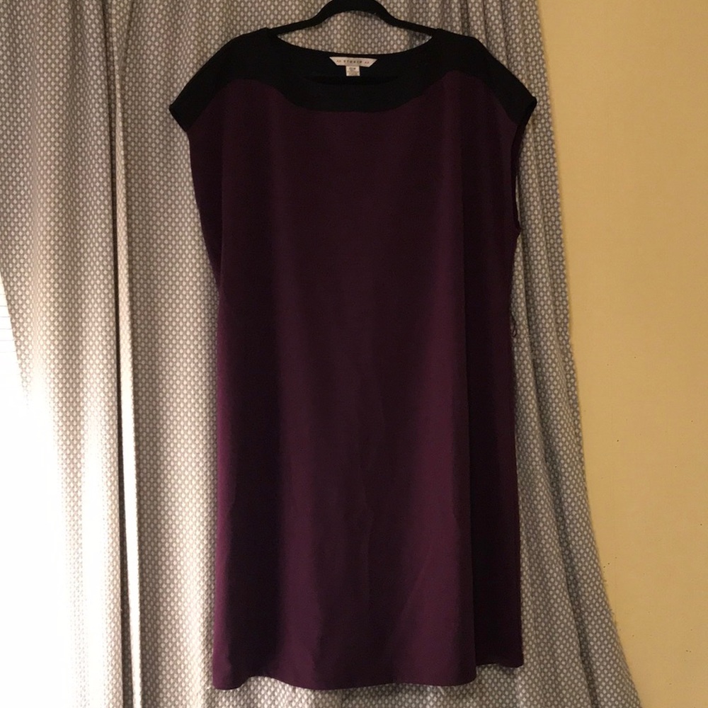 Dark purple sleeveless dress 22 W